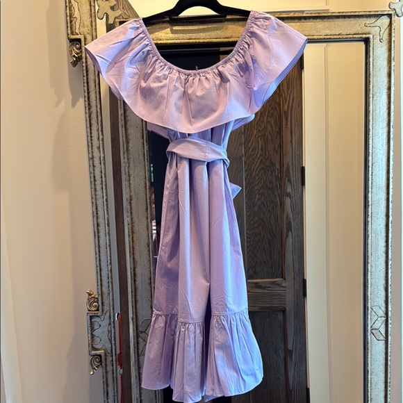 Soler Ruffle Dress - Picture 4 of 5